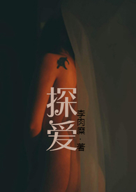 探嗳